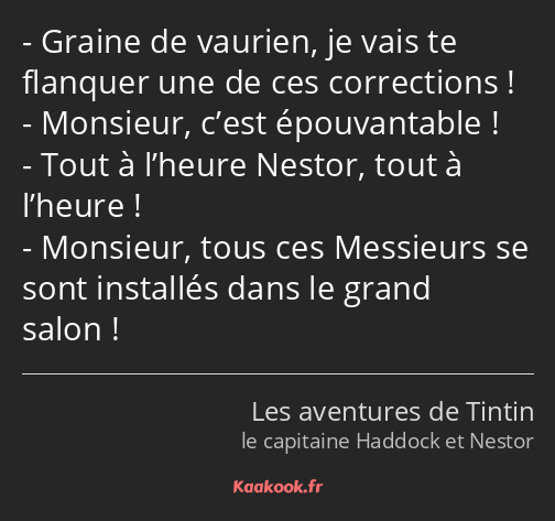 Graine de vaurien, je vais te flanquer une de ces corrections ! Monsieur, c’est épouvantable ! Tout…