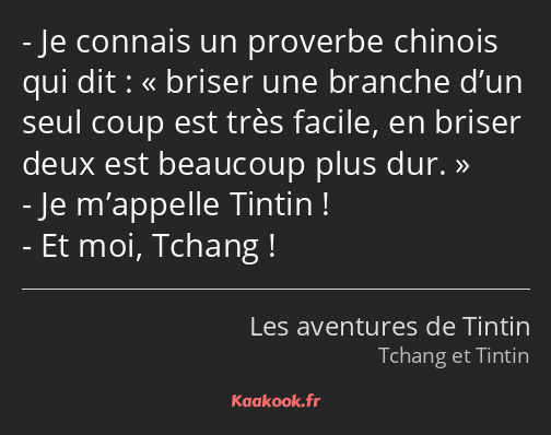 Je connais un proverbe chinois qui dit : briser une branche d’un seul coup est très facile, en…