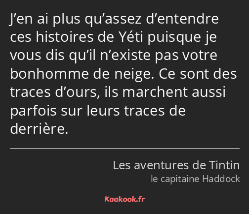 J’en ai plus qu’assez d’entendre ces histoires de Yéti puisque je vous dis qu’il n’existe pas votre…