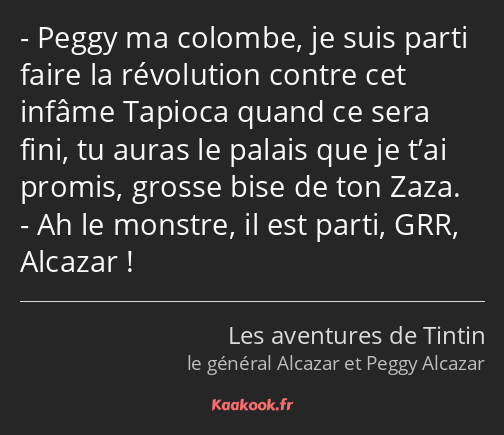 Peggy ma colombe, je suis parti faire la révolution contre cet infâme Tapioca quand ce sera fini…