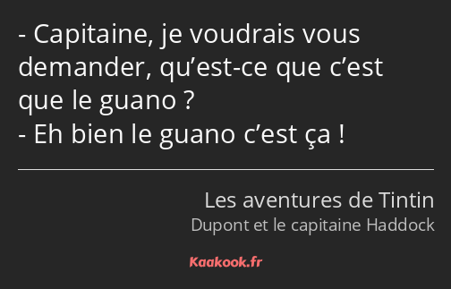 Capitaine, je voudrais vous demander, qu’est-ce que c’est que le guano ? Eh bien le guano c’est ça !