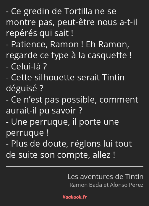 Ce gredin de Tortilla ne se montre pas, peut-être nous a-t-il repérés qui sait ! Patience, Ramon…