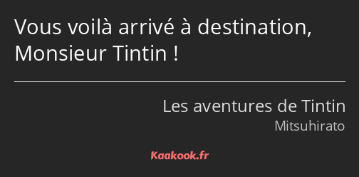 Vous voilà arrivé à destination, Monsieur Tintin !