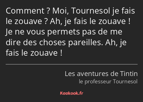 Comment ? Moi, Tournesol je fais le zouave ? Ah, je fais le zouave ! Je ne vous permets pas de me…