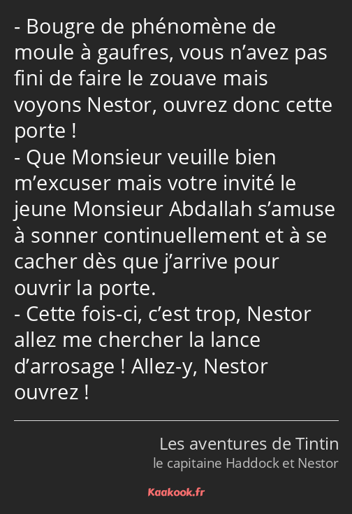 Bougre de phénomène de moule à gaufres, vous n’avez pas fini de faire le zouave mais voyons Nestor…