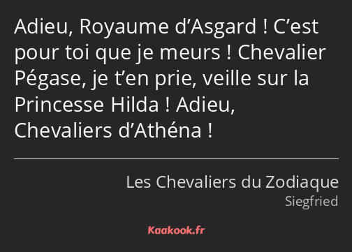 Adieu, Royaume d’Asgard ! C’est pour toi que je meurs ! Chevalier Pégase, je t’en prie, veille sur…