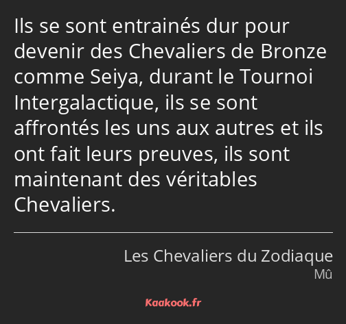 Ils se sont entrainés dur pour devenir des Chevaliers de Bronze comme Seiya, durant le Tournoi…