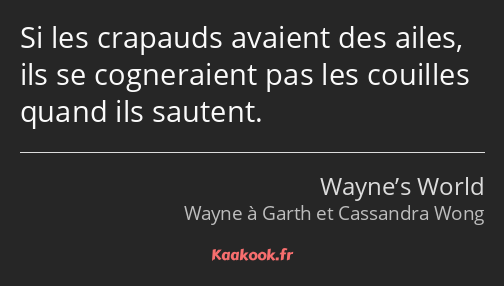 Si les crapauds avaient des ailes, ils se cogneraient pas les couilles quand ils sautent.