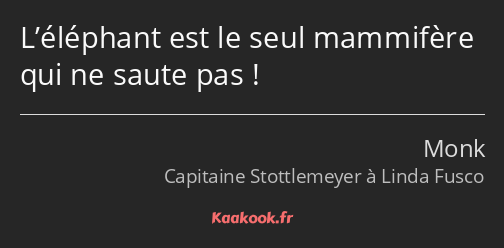 L’éléphant est le seul mammifère qui ne saute pas !