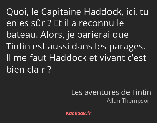 Quoi, le Capitaine Haddock, ici, tu en es sûr ? Et il a reconnu le bateau. Alors, je parierai que…