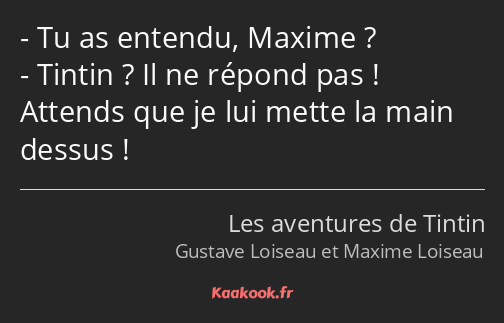 Tu as entendu, Maxime ? Tintin ? Il ne répond pas ! Attends que je lui mette la main dessus !