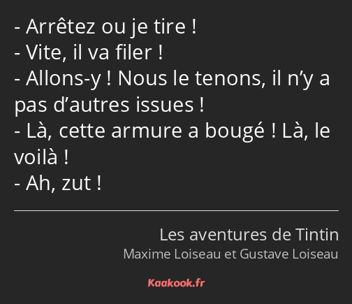 Arrêtez ou je tire ! Vite, il va filer ! Allons-y ! Nous le tenons, il n’y a pas d’autres issues…