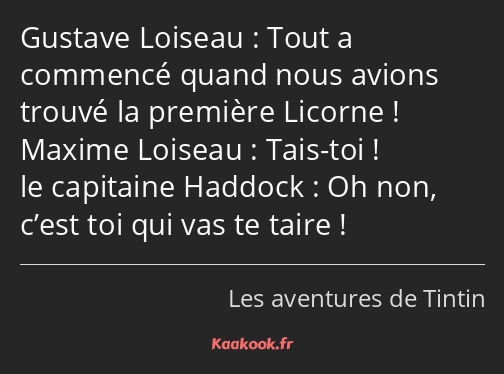 Tout a commencé quand nous avions trouvé la première Licorne ! Tais-toi ! Oh non, c’est toi qui vas…