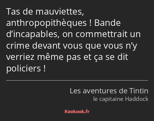 Tas de mauviettes, anthropopithèques ! Bande d’incapables, on commettrait un crime devant vous que…