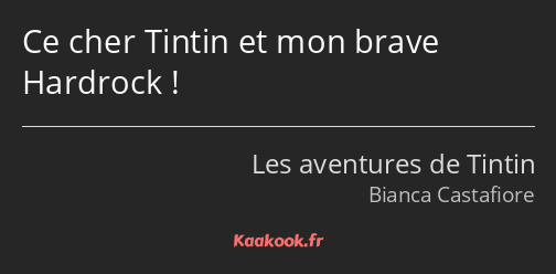 Ce cher Tintin et mon brave Hardrock !