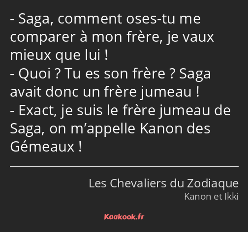 Saga, comment oses-tu me comparer à mon frère, je vaux mieux que lui ! Quoi ? Tu es son frère…