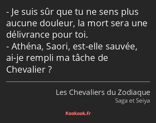 Je suis sûr que tu ne sens plus aucune douleur, la mort sera une délivrance pour toi. Athéna, Saori…