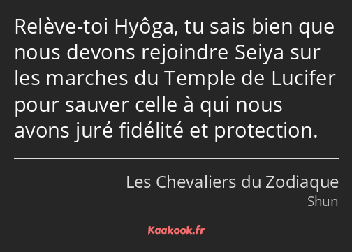 Relève-toi Hyôga, tu sais bien que nous devons rejoindre Seiya sur les marches du Temple de Lucifer…