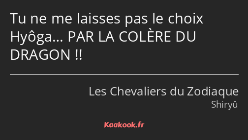 Tu ne me laisses pas le choix Hyôga… PAR LA COLÈRE DU DRAGON !!