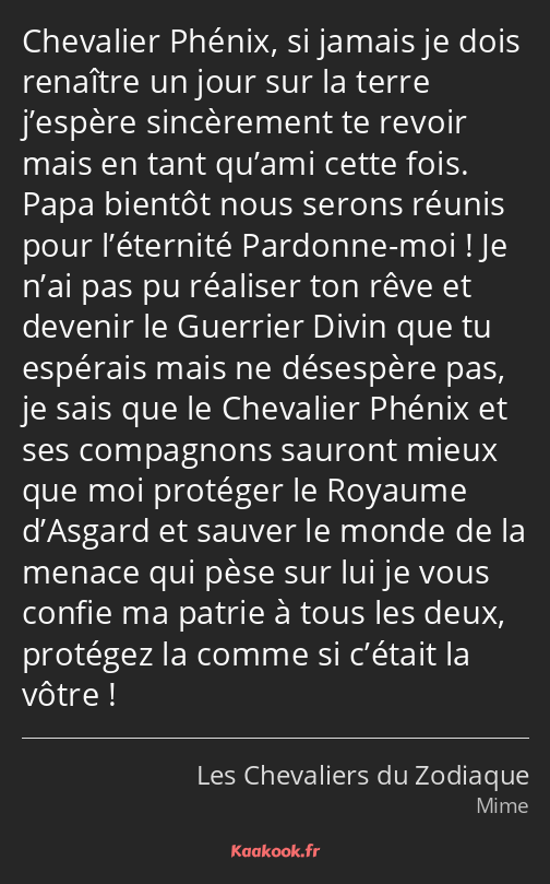 Chevalier Phénix, si jamais je dois renaître un jour sur la terre j’espère sincèrement te revoir…