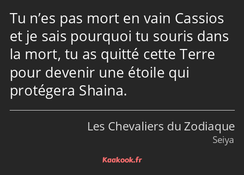 Tu n’es pas mort en vain Cassios et je sais pourquoi tu souris dans la mort, tu as quitté cette…