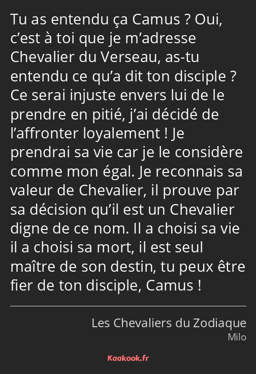 Tu as entendu ça Camus ? Oui, c’est à toi que je m’adresse Chevalier du Verseau, as-tu entendu ce…