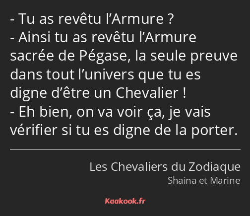 Tu as revêtu l’Armure ? Ainsi tu as revêtu l’Armure sacrée de Pégase, la seule preuve dans tout…