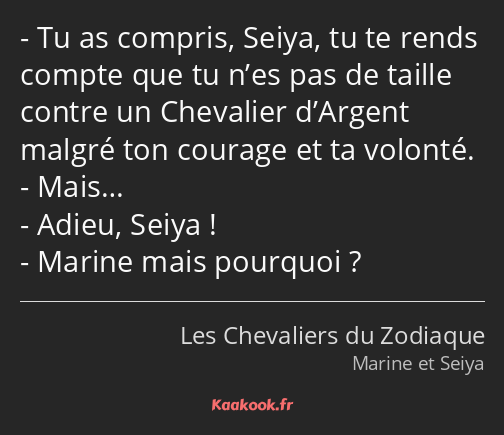 Tu as compris, Seiya, tu te rends compte que tu n’es pas de taille contre un Chevalier d’Argent…