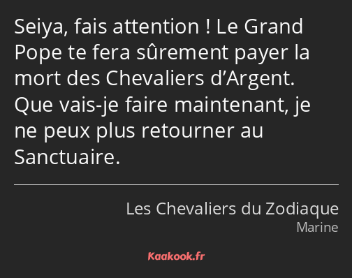 Seiya, fais attention ! Le Grand Pope te fera sûrement payer la mort des Chevaliers d’Argent. Que…