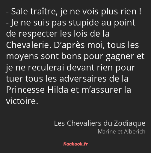 Sale traître, je ne vois plus rien ! Je ne suis pas stupide au point de respecter les lois de la…