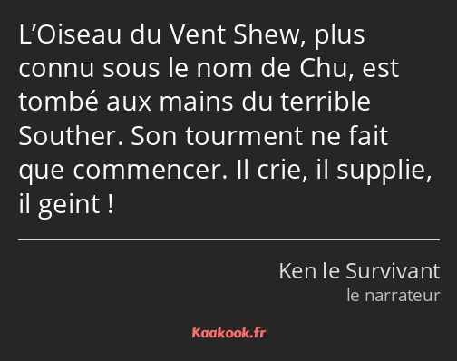 L’Oiseau du Vent Shew, plus connu sous le nom de Chu, est tombé aux mains du terrible Souther. Son…