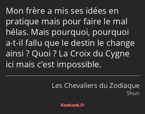 Mon frère a mis ses idées en pratique mais pour faire le mal hélas. Mais pourquoi, pourquoi a-t-il…