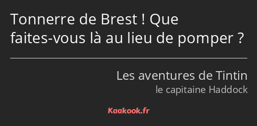 Tonnerre de Brest ! Que faites-vous là au lieu de pomper ?