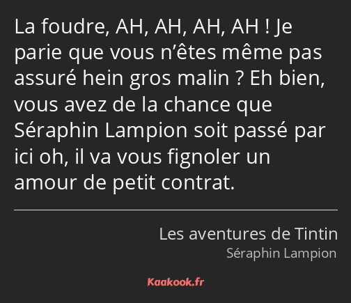 La foudre, AH, AH, AH, AH ! Je parie que vous n’êtes même pas assuré hein gros malin ? Eh bien…