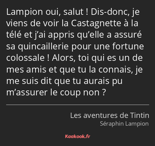 Lampion oui, salut ! Dis-donc, je viens de voir la Castagnette à la télé et j’ai appris qu’elle a…