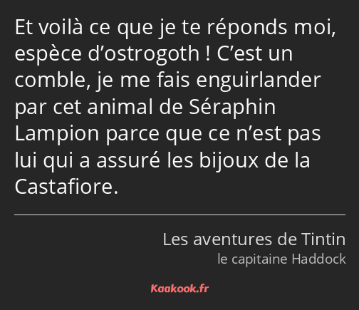 Et voilà ce que je te réponds moi, espèce d’ostrogoth ! C’est un comble, je me fais enguirlander…