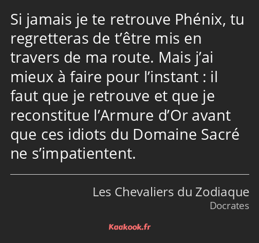 Si jamais je te retrouve Phénix, tu regretteras de t’être mis en travers de ma route. Mais j’ai…