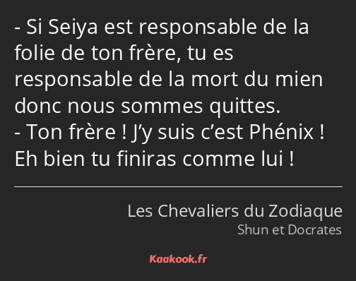 Si Seiya est responsable de la folie de ton frère, tu es responsable de la mort du mien donc nous…