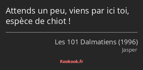 Attends un peu, viens par ici toi, espèce de chiot !