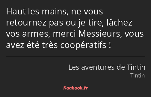 Haut les mains, ne vous retournez pas ou je tire, lâchez vos armes, merci Messieurs, vous avez été…