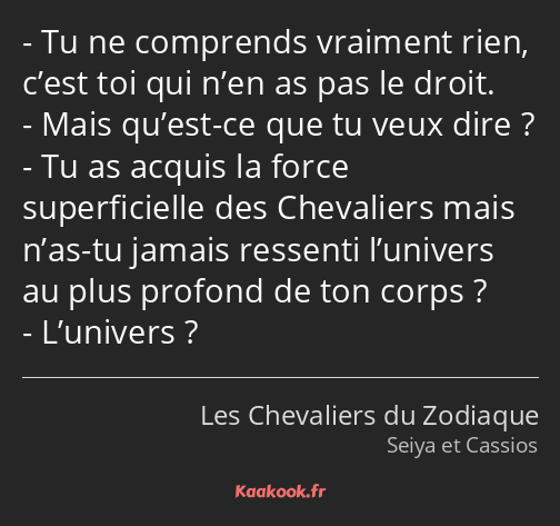 Tu ne comprends vraiment rien, c’est toi qui n’en as pas le droit. Mais qu’est-ce que tu veux dire…