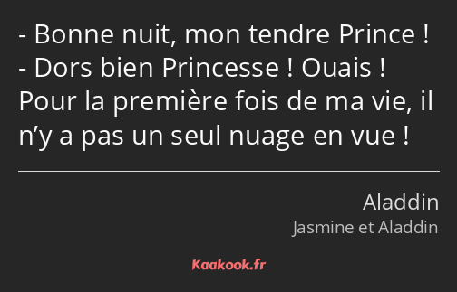 Bonne nuit, mon tendre Prince ! Dors bien Princesse ! Ouais ! Pour la première fois de ma vie, il…