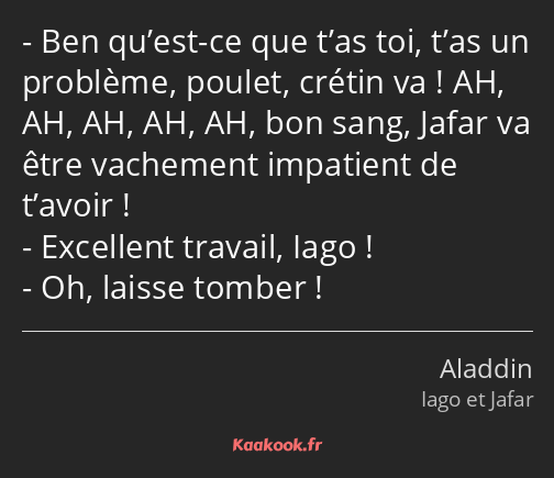 Ben qu’est-ce que t’as toi, t’as un problème, poulet, crétin va ! AH, AH, AH, AH, AH, bon sang…