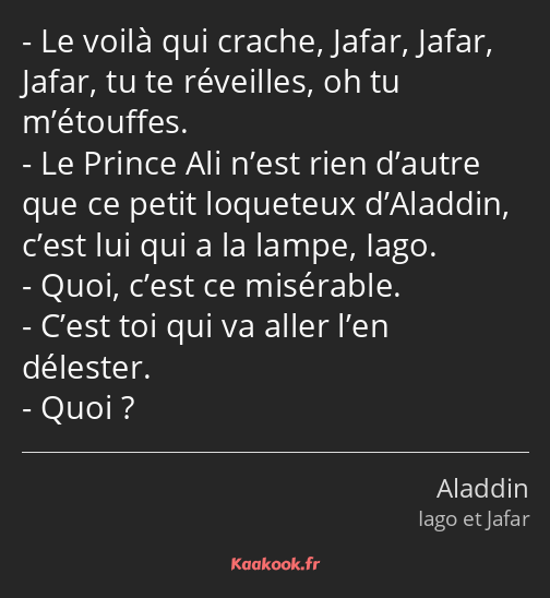 Le voilà qui crache, Jafar, Jafar, Jafar, tu te réveilles, oh tu m’étouffes. Le Prince Ali n’est…