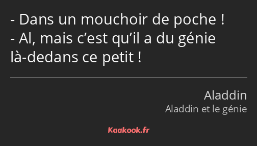 Dans un mouchoir de poche ! Al, mais c’est qu’il a du génie là-dedans ce petit !