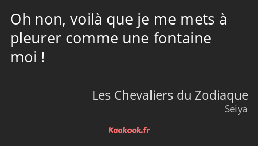 Oh non, voilà que je me mets à pleurer comme une fontaine moi !