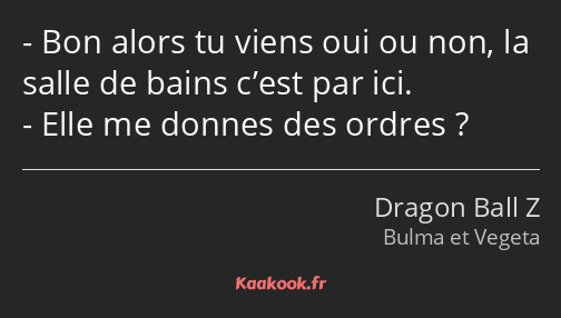 Bon alors tu viens oui ou non, la salle de bains c’est par ici. Elle me donnes des ordres ?