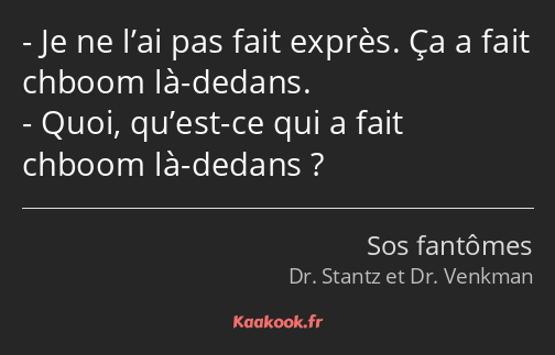 Je ne l’ai pas fait exprès. Ça a fait chboom là-dedans. Quoi, qu’est-ce qui a fait chboom là-dedans…