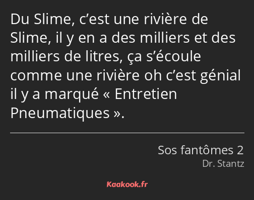 Du Slime, c’est une rivière de Slime, il y en a des milliers et des milliers de litres, ça s’écoule…