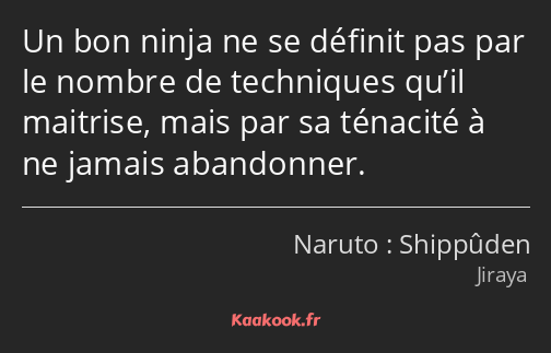 Un bon ninja ne se définit pas par le nombre de techniques qu’il maitrise, mais par sa ténacité à…